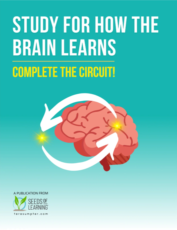 Studying–Completing the Circuit Digital Download