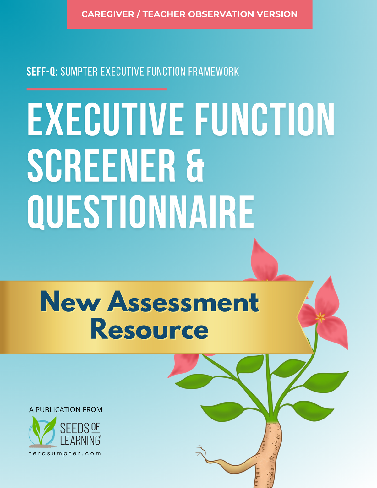 SEFF Executive Function Screener & Questionnaire: Caregiver/Teacher Ob ...