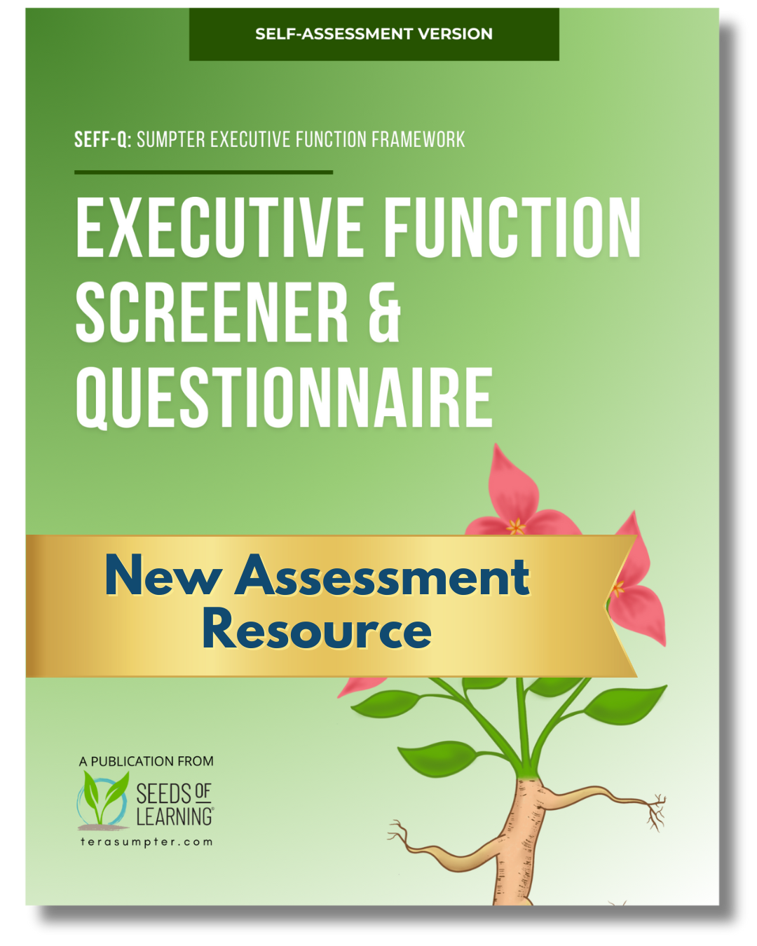 SEFF Executive Function Screener & Questionnaire: Self-Assessment Vers ...
