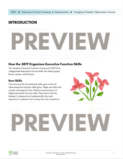 SEFF Executive Function Screener & Questionnaire (SEFF-Q):  Caregiver/Teacher Observation Version