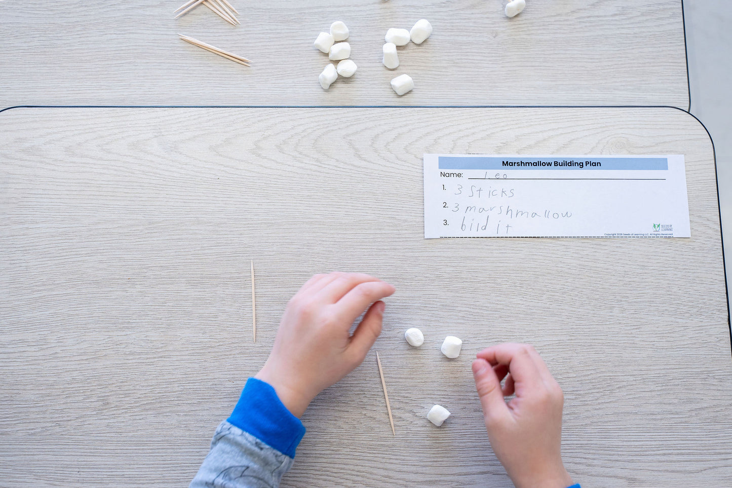 SPARQ-EF™ Phase 3: Regulating Through Tasks in Early Elementary Classrooms (Digital Download)