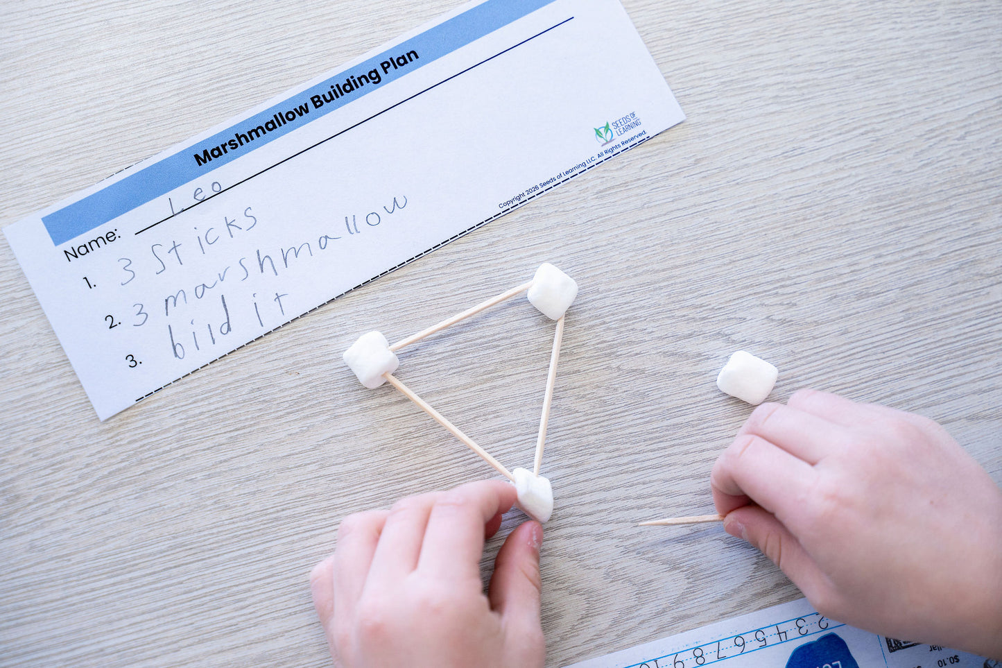 SPARQ-EF™ Early Elementary Professional Bundle Phases 1-4 (Digital Download)