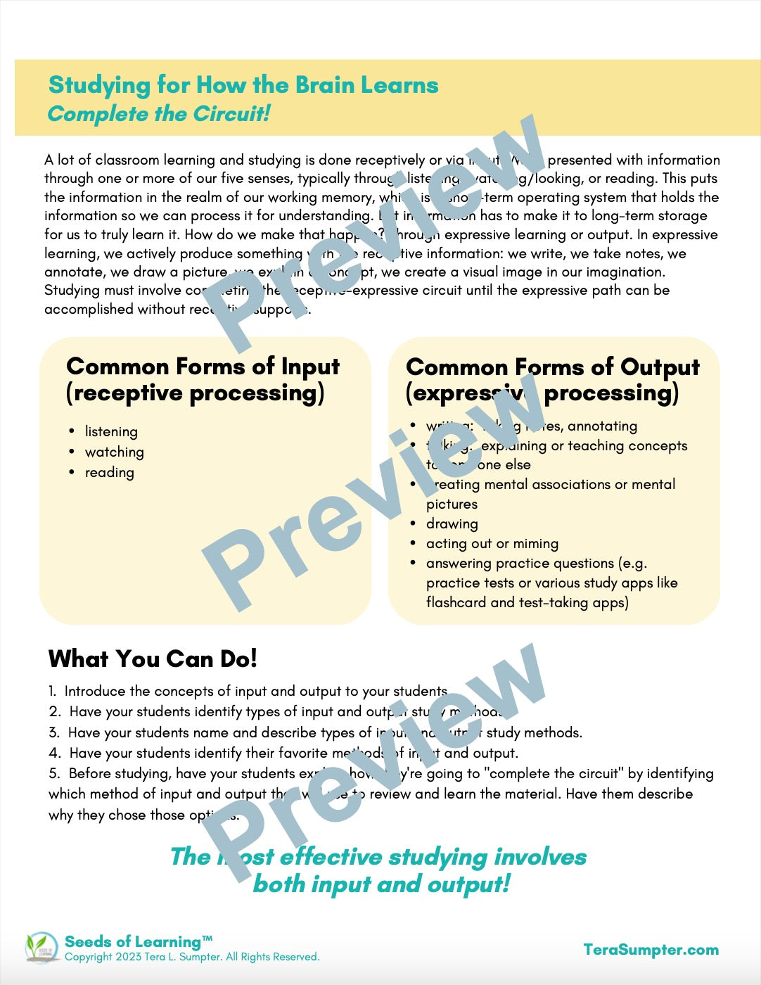 Studying–Completing the Circuit Digital Download