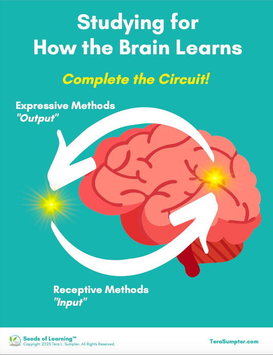 Studying–Completing the Circuit Digital Download