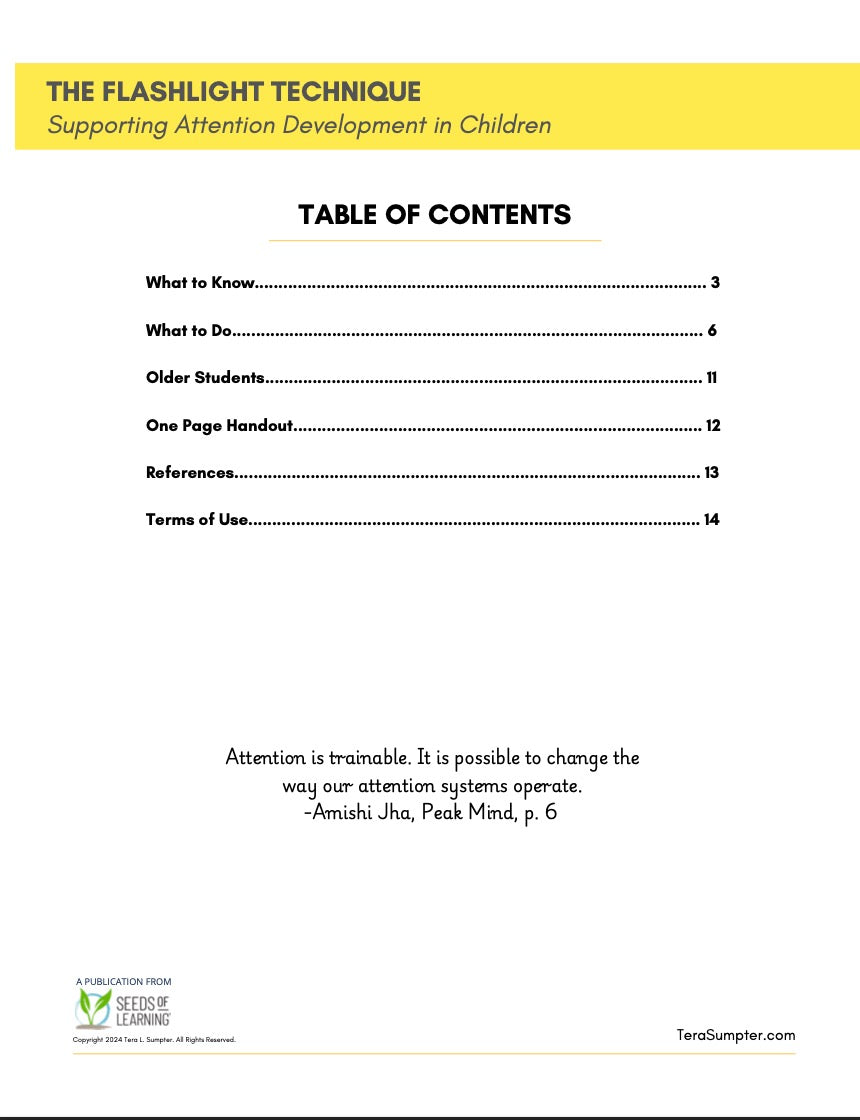 Flashlight Technique Handout.pdf Attention Guide: The Flashlight Technique Digital Download – Seeds of ...