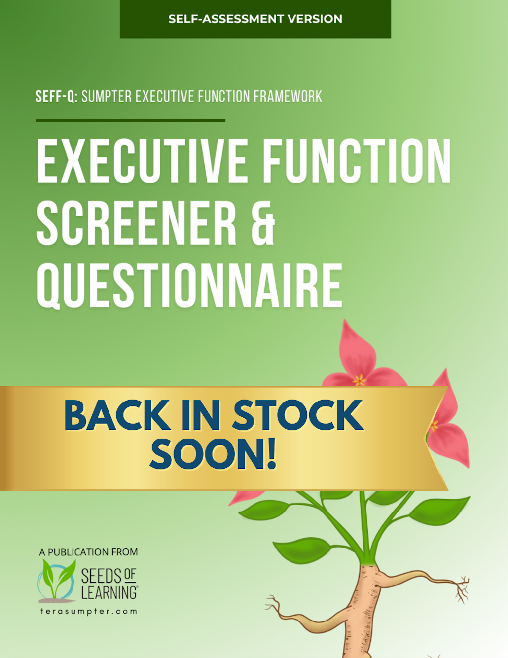 SEFF Executive Function Screener & Questionnaire: Self-Assessment Version